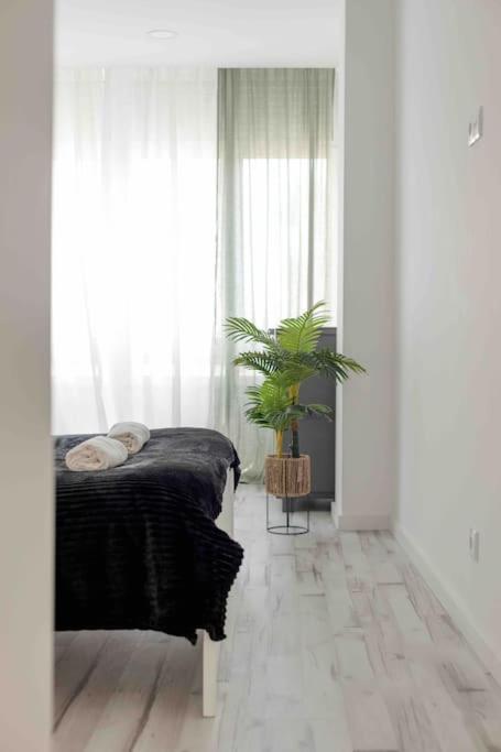 Lovely 3-Bedroom Condo W/ Free Parking On Premises เกลูซ ภายนอก รูปภาพ